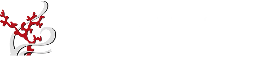 Ocean Valley Dental